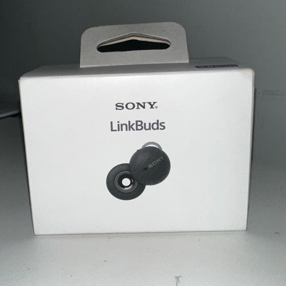 Sony WF-L900 Wireless Earbuds in Gray